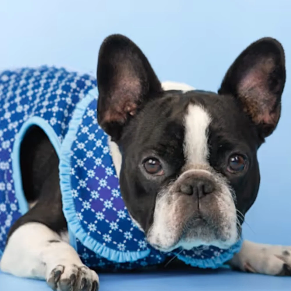 New Draper James Floral Quilted Dog Jacket Blue S